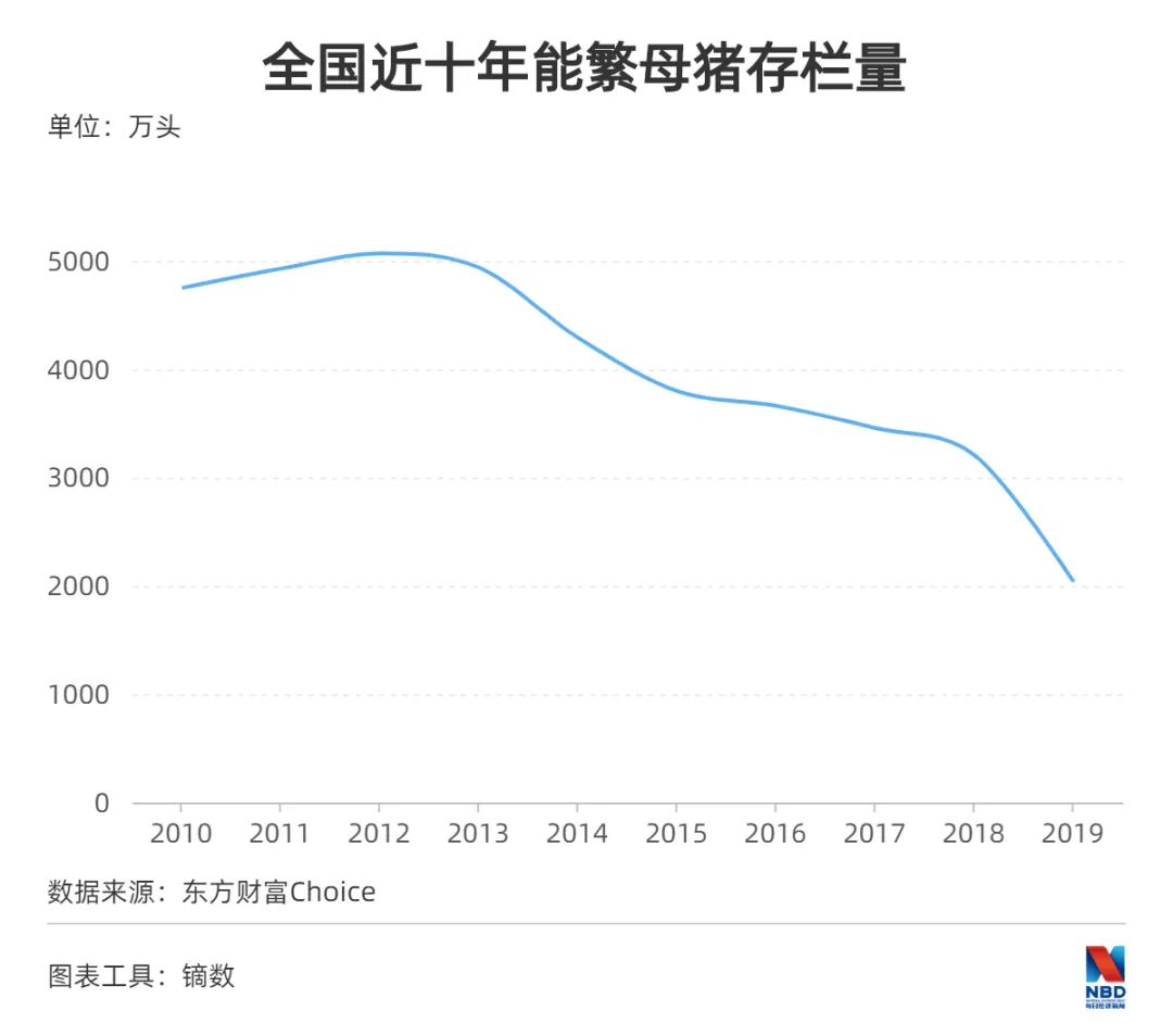 最强猪周期调查：一头赚3000 农校生月薪2万不算高