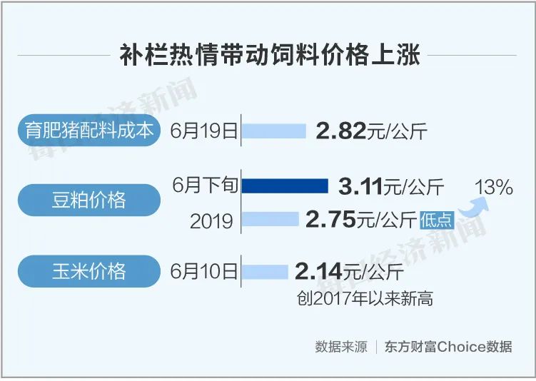 最强猪周期调查：一头赚3000 农校生月薪2万不算高